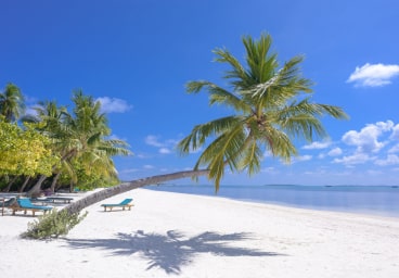 Home budget hotel attraction img 5 min